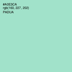 #A0E3CA - Padua Color Image