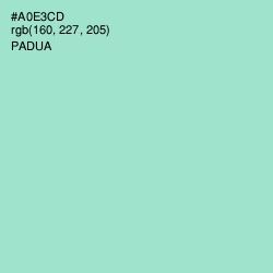 #A0E3CD - Padua Color Image