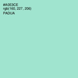 #A0E3CE - Padua Color Image