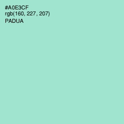 #A0E3CF - Padua Color Image