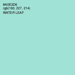 #A0E3D6 - Water Leaf Color Image