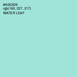 #A0E3D9 - Water Leaf Color Image