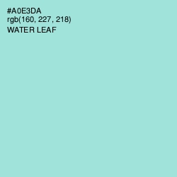 #A0E3DA - Water Leaf Color Image