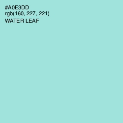 #A0E3DD - Water Leaf Color Image