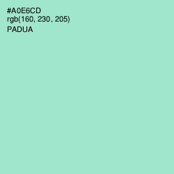 #A0E6CD - Padua Color Image