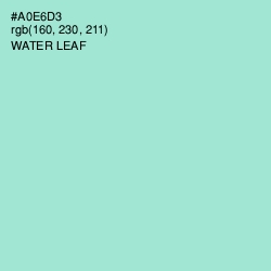 #A0E6D3 - Water Leaf Color Image