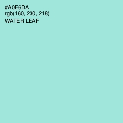 #A0E6DA - Water Leaf Color Image