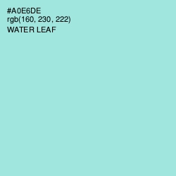 #A0E6DE - Water Leaf Color Image