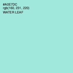 #A0E7DC - Water Leaf Color Image