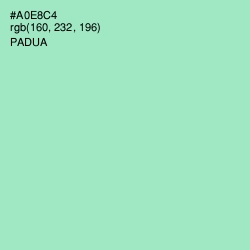 #A0E8C4 - Padua Color Image