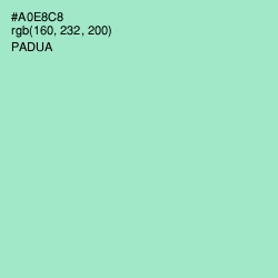 #A0E8C8 - Padua Color Image