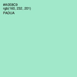 #A0E8C9 - Padua Color Image