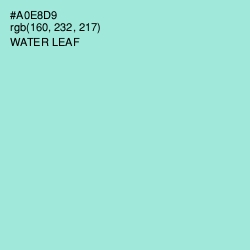 #A0E8D9 - Water Leaf Color Image