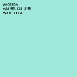 #A0E8DA - Water Leaf Color Image