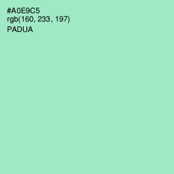 #A0E9C5 - Padua Color Image