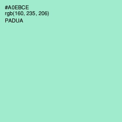 #A0EBCE - Padua Color Image