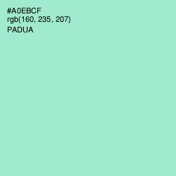 #A0EBCF - Padua Color Image