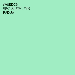 #A0EDC3 - Padua Color Image