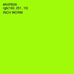 #A0FB0A - Inch Worm Color Image