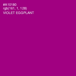 #A10180 - Violet Eggplant Color Image