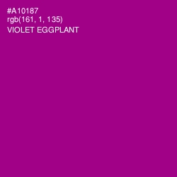 #A10187 - Violet Eggplant Color Image