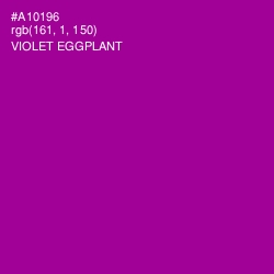 #A10196 - Violet Eggplant Color Image