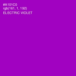 #A101C0 - Electric Violet Color Image