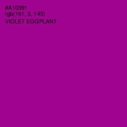 #A10391 - Violet Eggplant Color Image