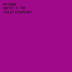 #A1098B - Violet Eggplant Color Image