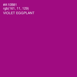 #A10B81 - Violet Eggplant Color Image