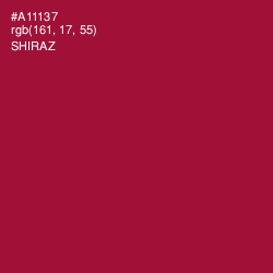 #A11137 - Shiraz Color Image