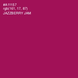 #A11157 - Jazzberry Jam Color Image