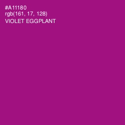 #A11180 - Violet Eggplant Color Image