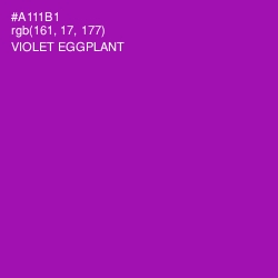 #A111B1 - Violet Eggplant Color Image