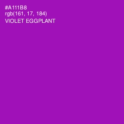 #A111B8 - Violet Eggplant Color Image