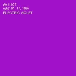 #A111C7 - Electric Violet Color Image