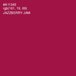 #A11345 - Jazzberry Jam Color Image