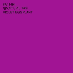 #A11494 - Violet Eggplant Color Image