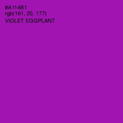 #A114B1 - Violet Eggplant Color Image
