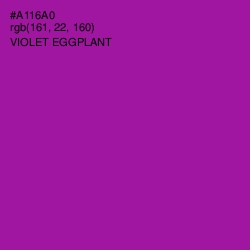 #A116A0 - Violet Eggplant Color Image