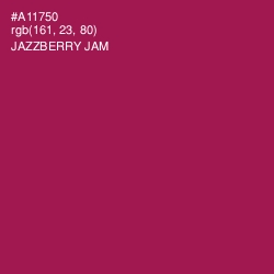 #A11750 - Jazzberry Jam Color Image