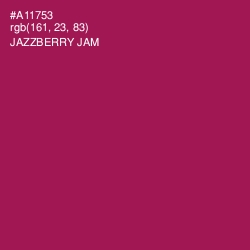 #A11753 - Jazzberry Jam Color Image