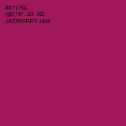 #A1175C - Jazzberry Jam Color Image