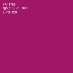 #A11766 - Lipstick Color Image