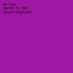 #A117A4 - Violet Eggplant Color Image