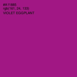 #A11885 - Violet Eggplant Color Image