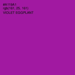 #A119A1 - Violet Eggplant Color Image