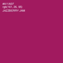 #A11A5F - Jazzberry Jam Color Image
