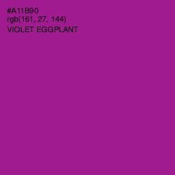 #A11B90 - Violet Eggplant Color Image