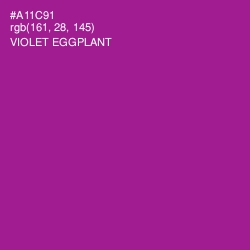 #A11C91 - Violet Eggplant Color Image